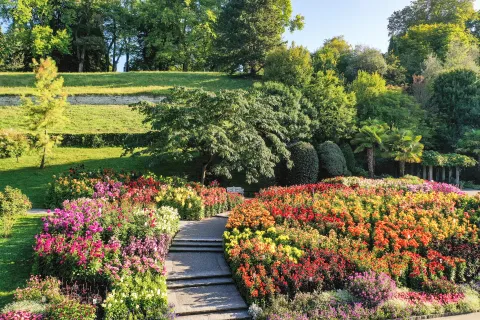 Insel Mainau / Marketing Luftaufnahme Dahliengarten