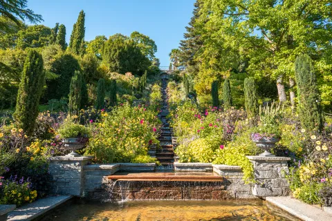 Insel Mainau / Black Forest Production Italienische Blumen-Wassertreppe auf der Insel Mainau mit Sommerbepflanzung