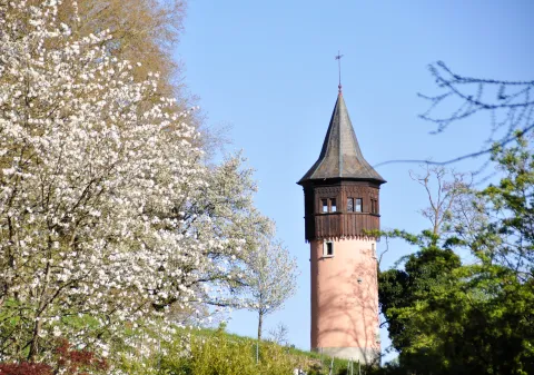 Insel Mainau / Marketing Schwedenturm auf der Insel Mainau