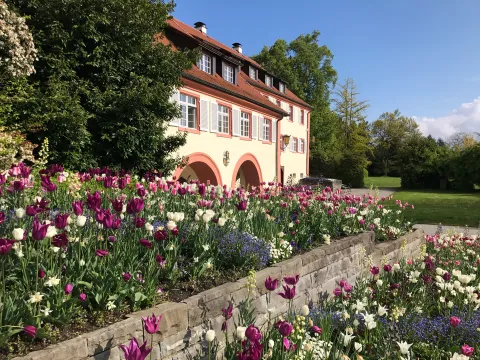 Insel Mainau / Marketing Torbogengebäude auf der Insel Mainau