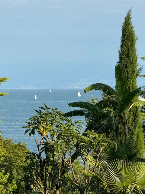 Insel Mainau / Marketing Seeblick Insel Mainau