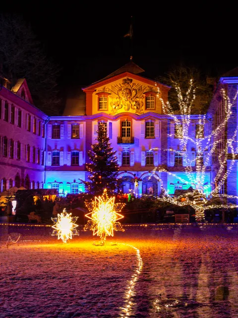 Mainau Akademie / Ute Schmidt Mainau Akademie Seminare Fotografie im Christmas Garden