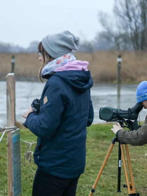 Seminar Wasservögel entdecken Eine Gruppe von Menschen beobachten am Wasser durch ein Fernrohr Vögel
