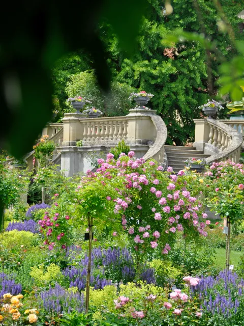 Rosengarten
