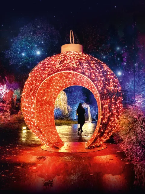 Christmas Garden Insel Mainau 2025 Eine rotbeleuchtete begehbare Weihnachtskugel in einer Landschaft, darin steht eine Person. Die Umgebung wird mit weihnachtlichen Lichtern angestrahlt