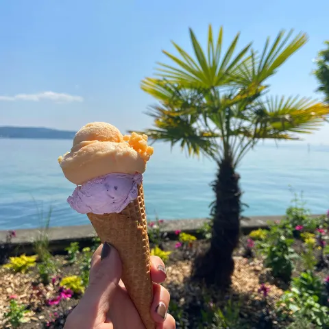 Eis mit Palme Hafen Insel Mainau
