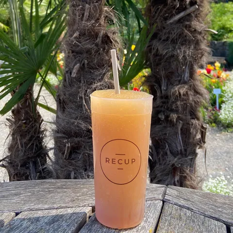Slushie Mainau Apfelsaft auf einem Holztisch mit Palmen im Hintergrund 