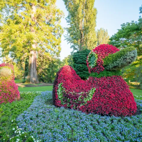 Die bepflanzten Enten sind echte Hingucker auf der Mainau