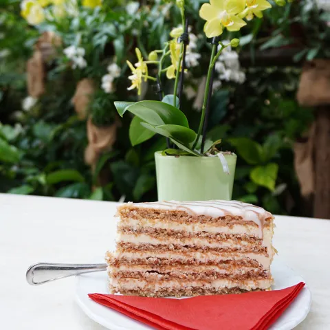 Esterházy Torte mit Orchidee im Palmenhaus Insel Mainau