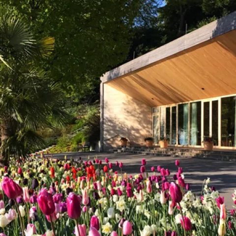 Insel Mainau / Marketing Frühlingsbrunch in der Comturey und dem Torkelkeller