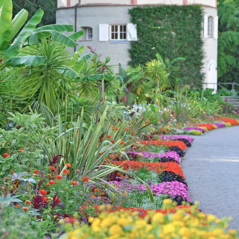 Bunte Wechselflorbeete am Gärtnerturm auf der Insel Mainau