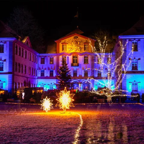Mainau Akademie / Ute Schmidt Schloss Mainau Christmas Garden