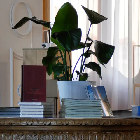 Insel Mainau / Marketing Bücher Insel Mainau