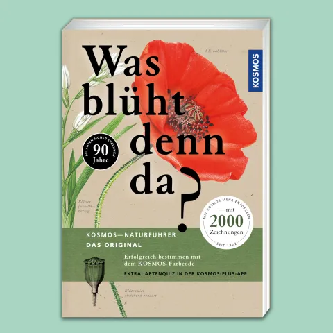 Buch "Was blüht denn da?" vom Kosmos-Verlag