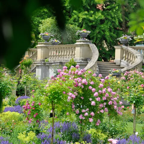 Rosengarten