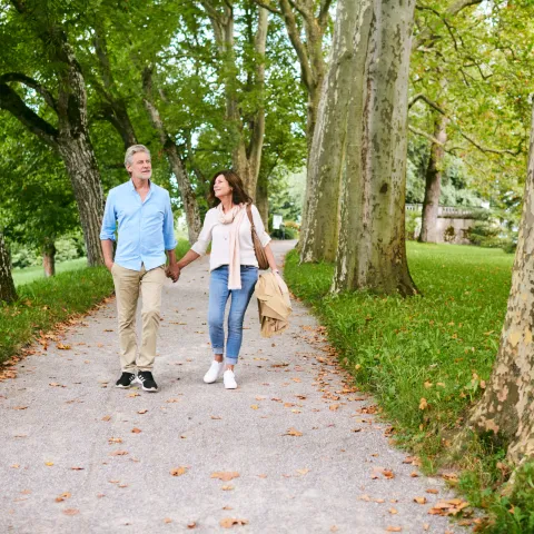 Älteres Paar hält Händchen und spaziert eine von Bäumen gesäumte Allee entlang