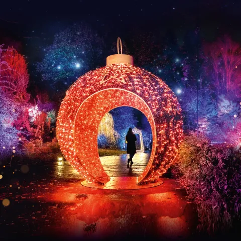 Eine rotbeleuchtete begehbare Weihnachtskugel in einer Landschaft, darin steht eine Person. Die Umgebung wird mit weihnachtlichen Lichtern angestrahlt