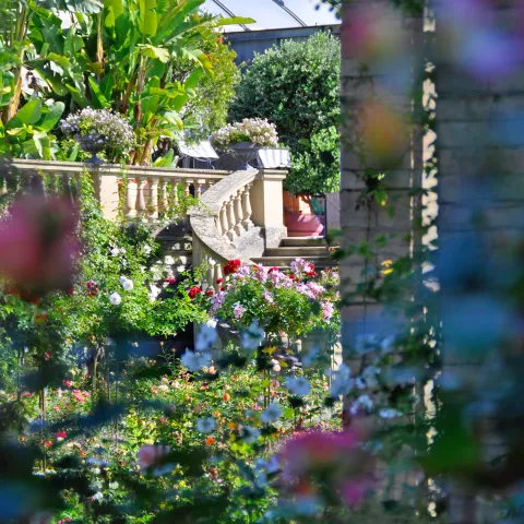 Rosengarten auf der Insel Mainau