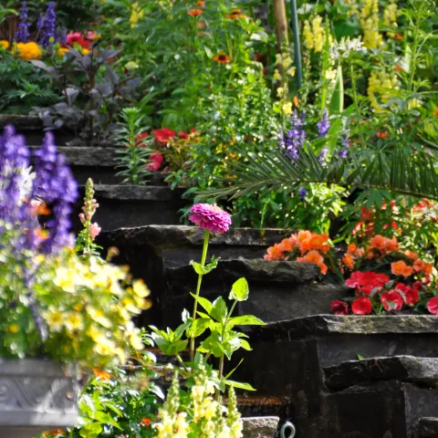 Farbenreicher Sommerflor auf terrassenförmig angelegten Beeten mit Wasserlauf.