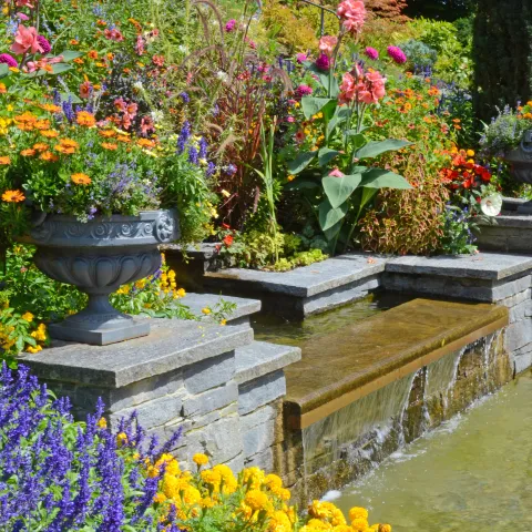 Farbenprächtige sommerliche Wechselbepflanzung mit üppiger Blütenfülle rund um ein Wasserbecken.